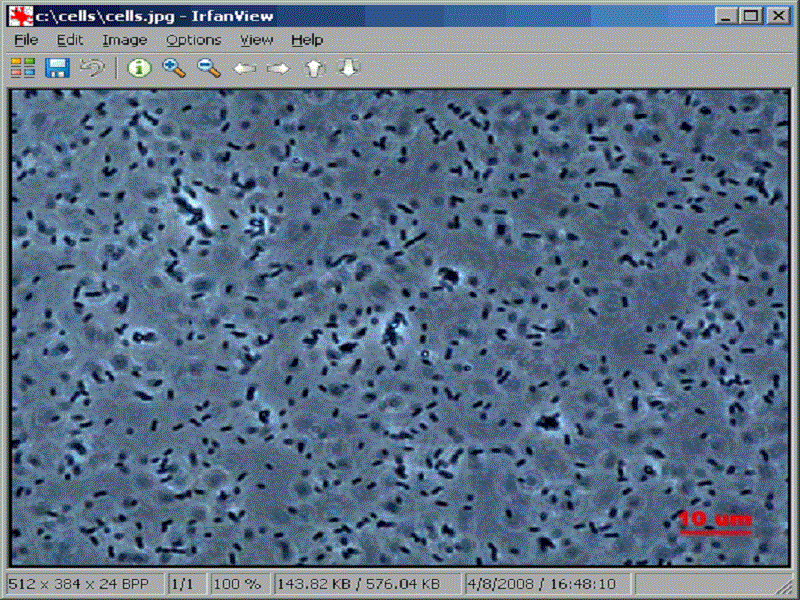 Cell counter Freeware